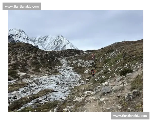 8848 米雪降:珠峰上的极限生命体验 8848 米雪降:珠峰上的极限生命体验